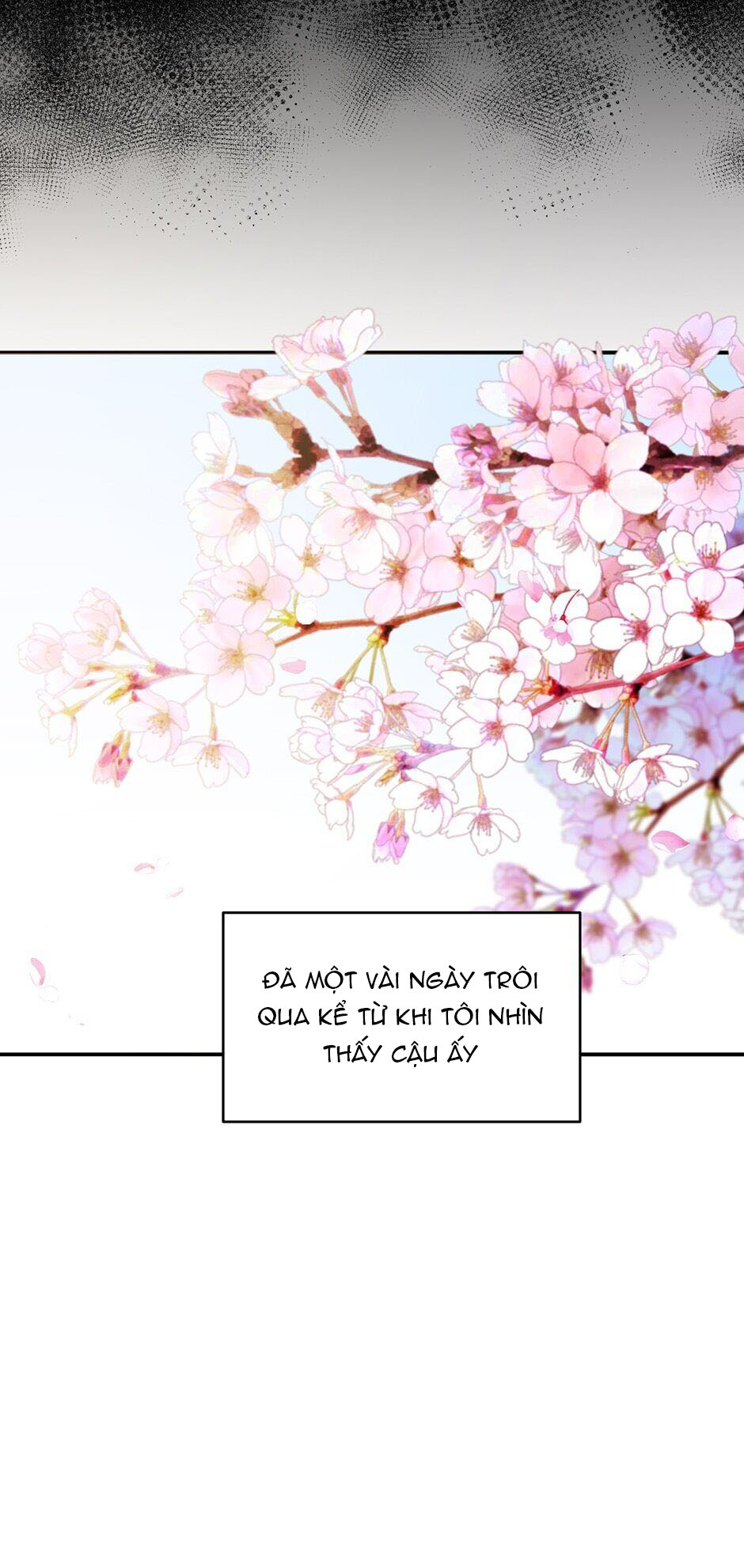 [16+] Killing My Love Chapter 30.2 - Trang 2