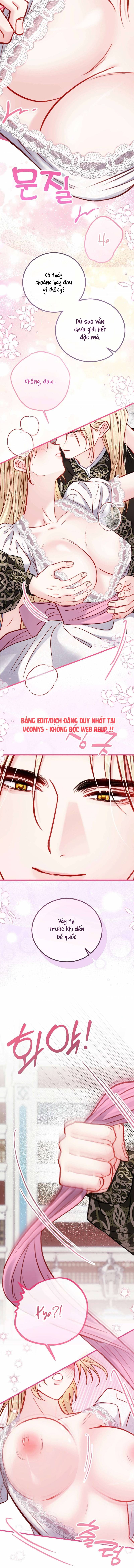 [18+] Bị Mắc Kẹt Trong Trò Chơi Harem Ngược Vô Vọng Chapter 29 - Trang 2