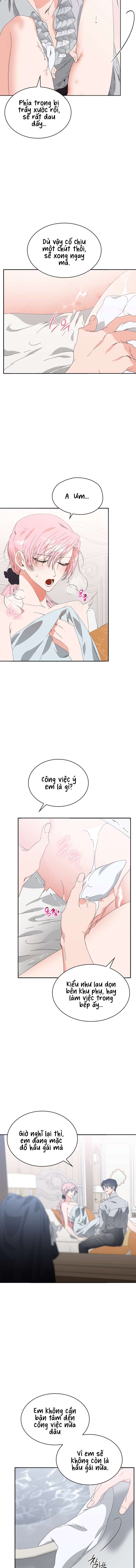 [18+] Con Thú Mà Tôi Đã Chọn Chapter 2 - Trang 2