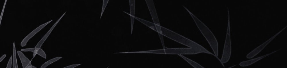 [18+] Đêm Hỗn Loạn Chapter 76 - Trang 2