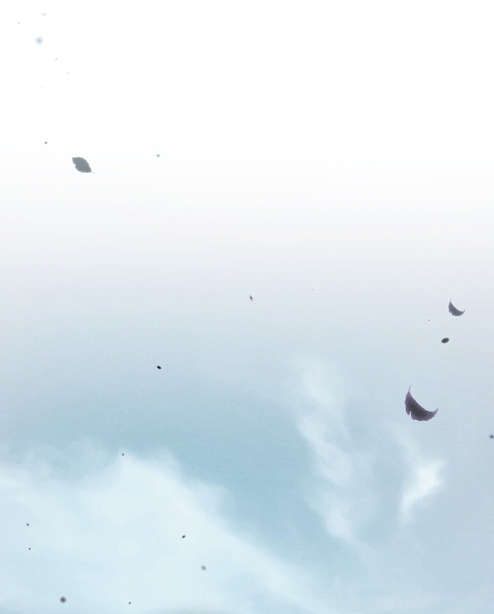 [18+] Đêm Hỗn Loạn Chapter 76 - Trang 2