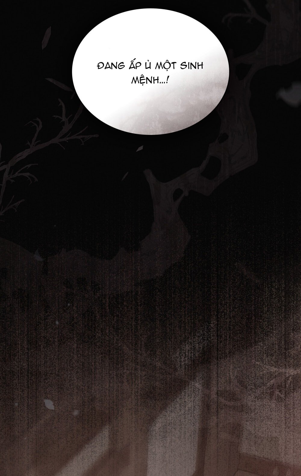 [18+] Đêm Hỗn Loạn Chapter 76 - Trang 2