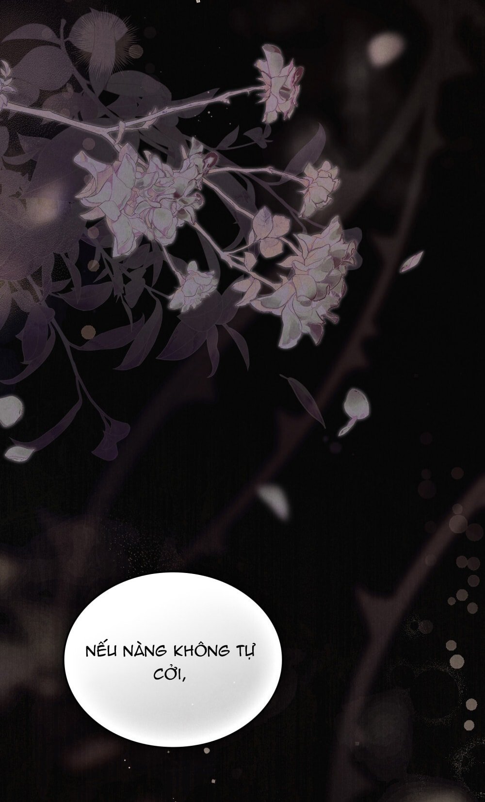 [18+] Đêm Hỗn Loạn Chapter 76 - Trang 2