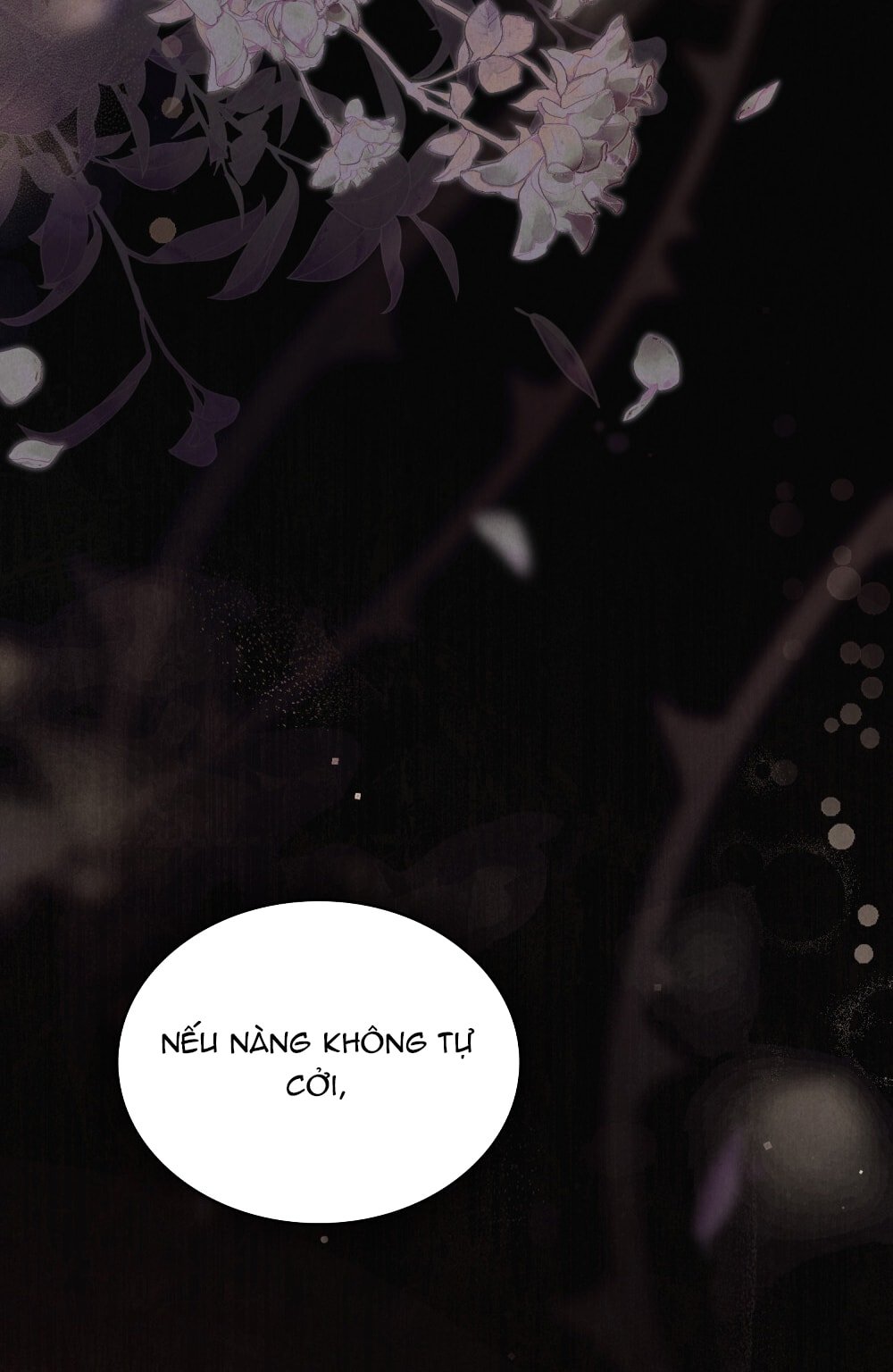 [18+] Đêm Hỗn Loạn Chapter 77 - Trang 2