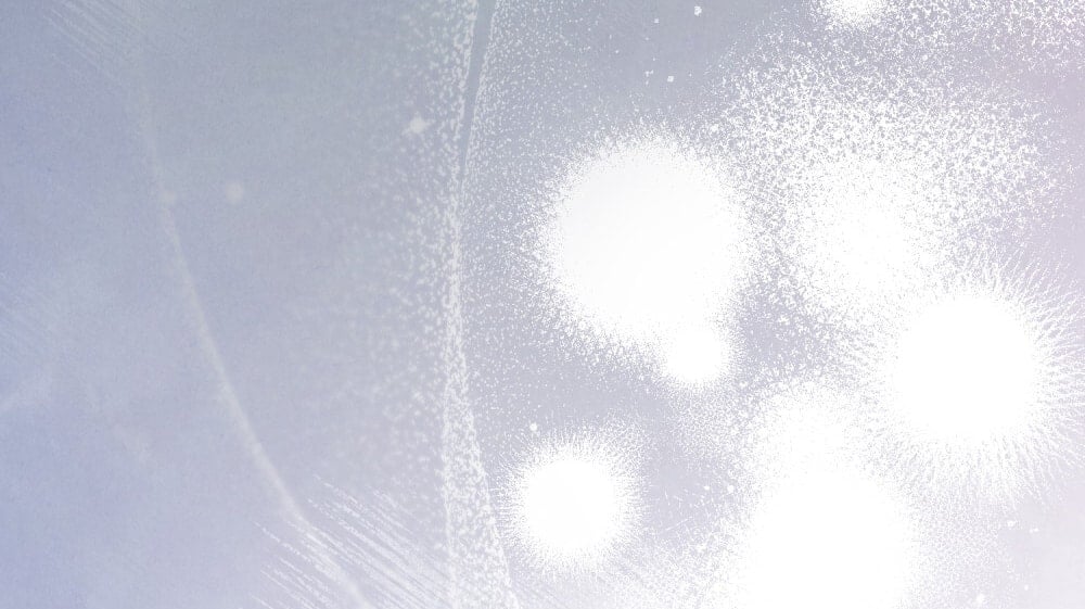 [18+] Đêm Hỗn Loạn Chapter 77 - Trang 2