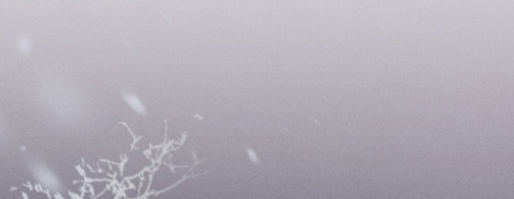 [18+] Đêm Hỗn Loạn Chapter 77 - Trang 2