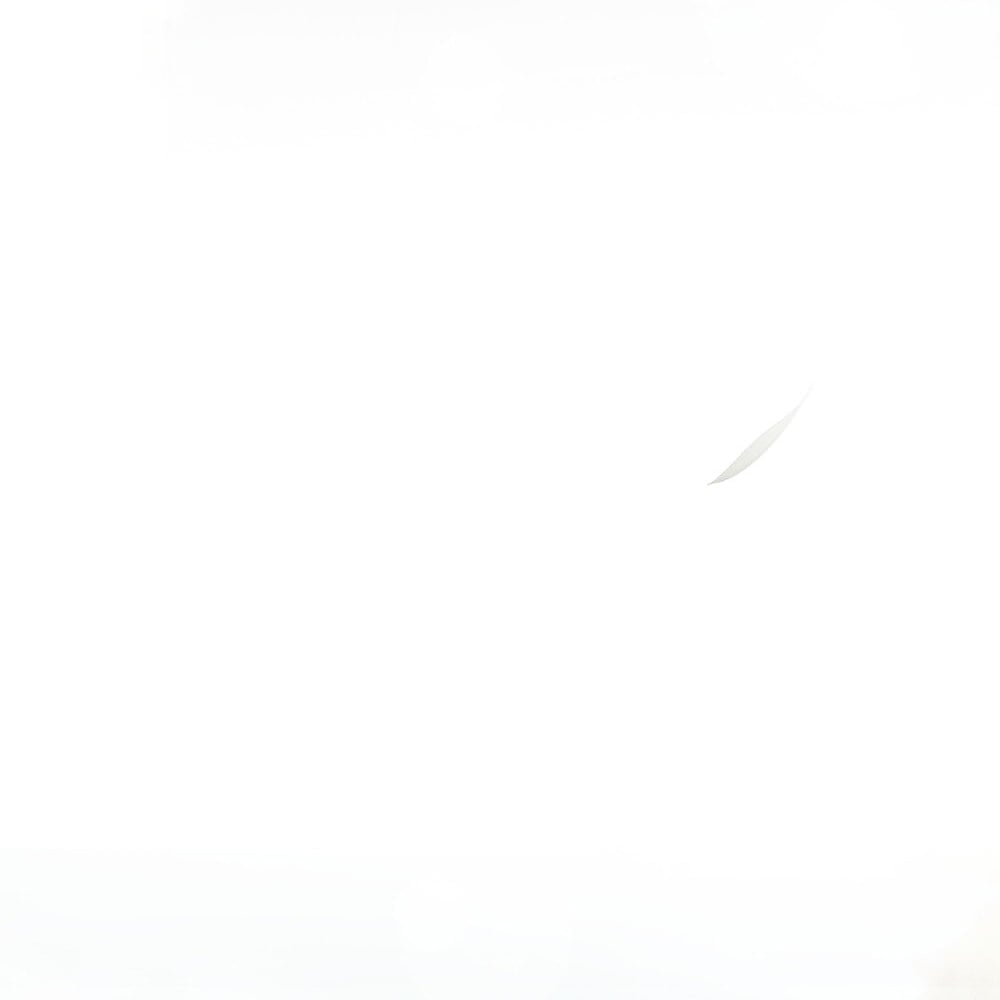 [18+] Đêm Hỗn Loạn Chapter 78 - Trang 2