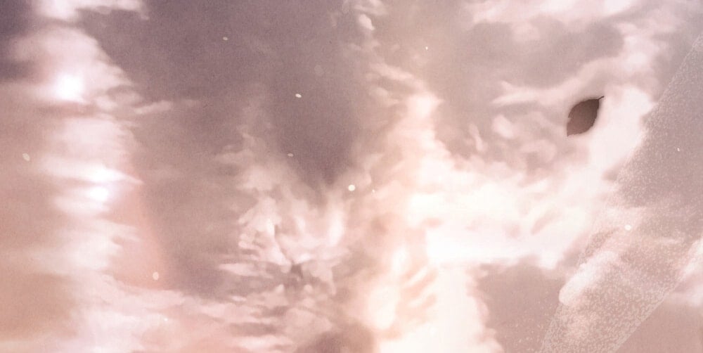 [18+] Đêm Hỗn Loạn Chapter 78 - Trang 2