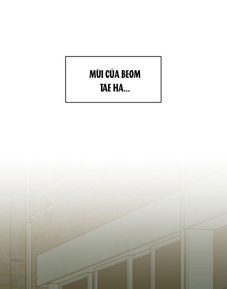 [18+] Nước Mắt Trên Đóa Hoa Tàn Chapter 71 - Trang 2