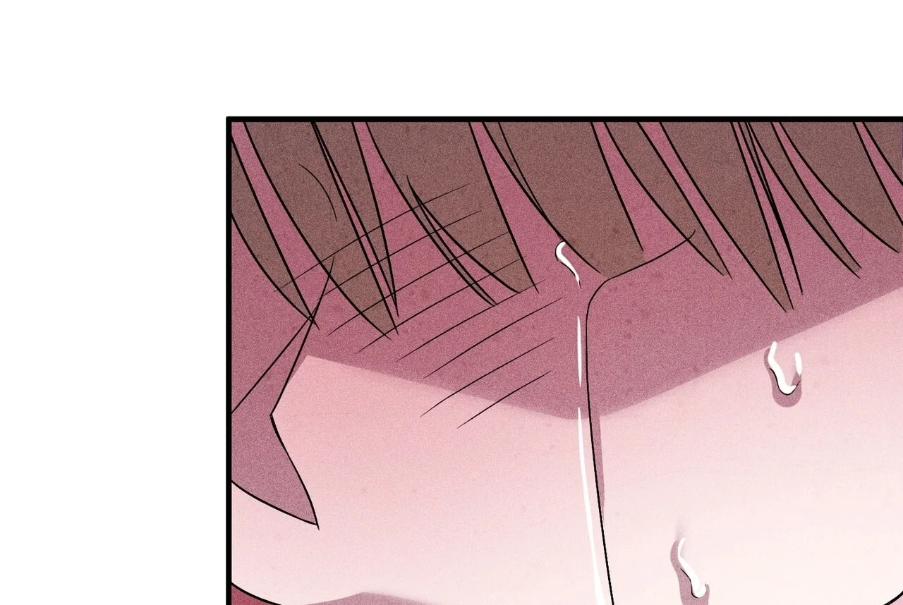 [18+] Quý Phu Nhân Thanh Tao Chapter 8 - Trang 2