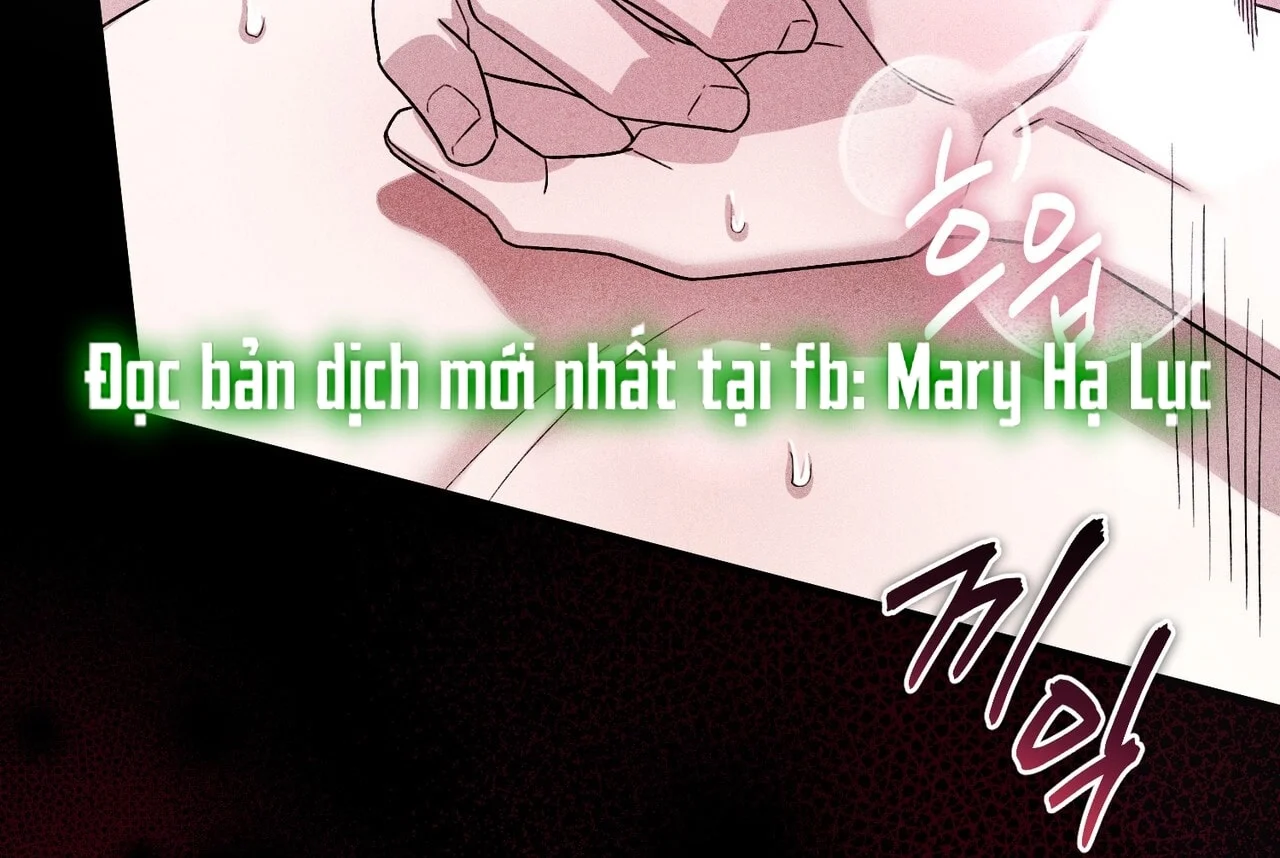 [18+] Quý Phu Nhân Thanh Tao Chapter 8 - Trang 2