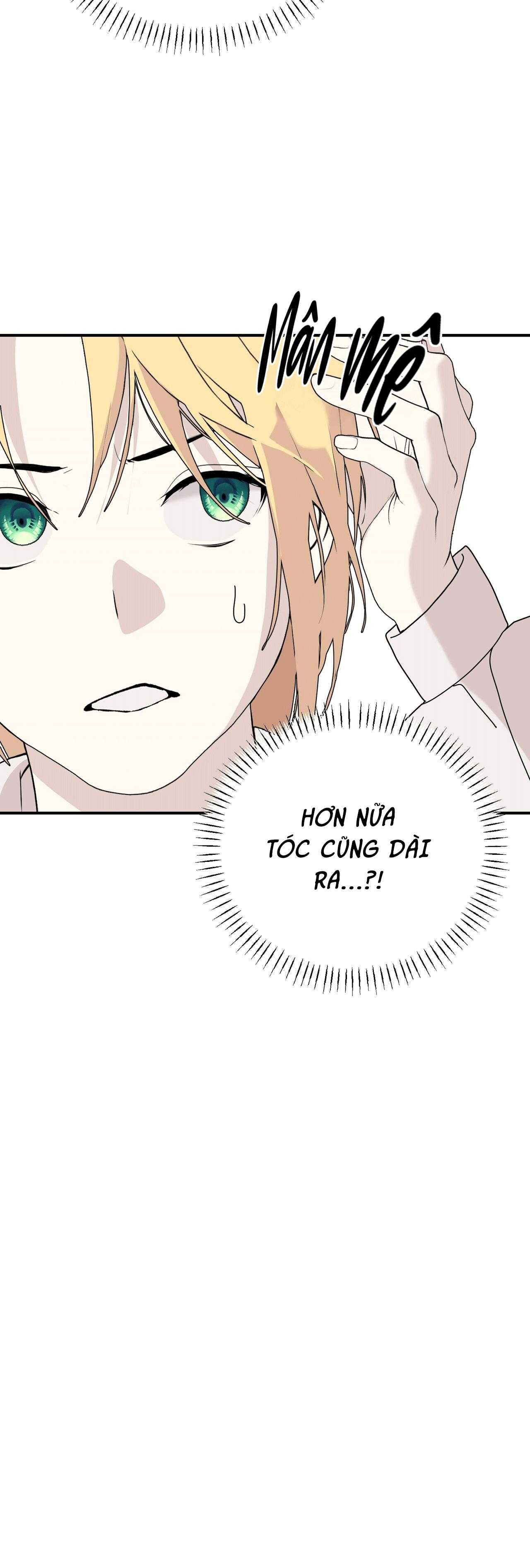(ABO) ĐÁM CƯỚI HOÀNG GIA Chapter 42 - Trang 4