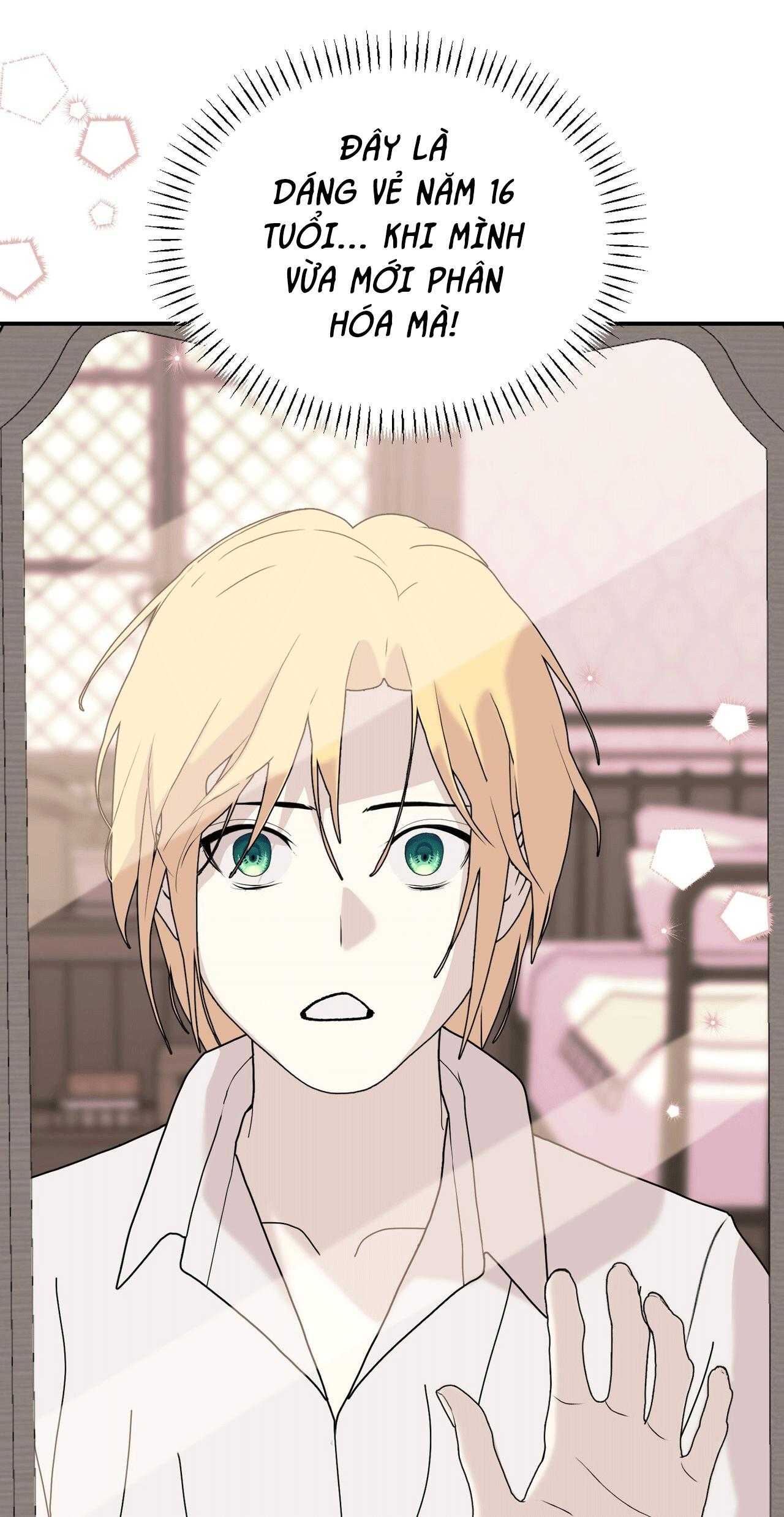 (ABO) ĐÁM CƯỚI HOÀNG GIA Chapter 42 - Trang 4