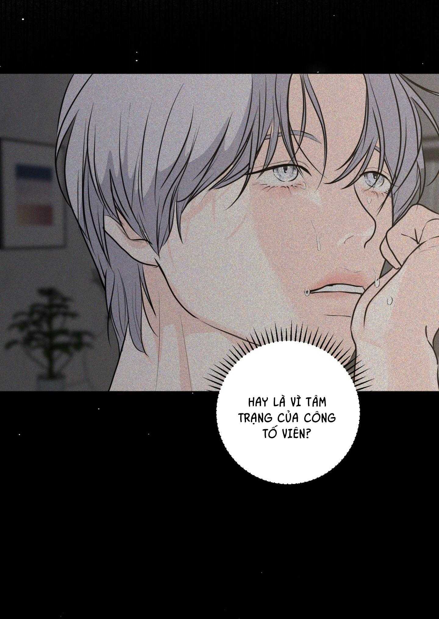(ABO) LỜI CẦU NGUYỆN Chapter 77 - Next 