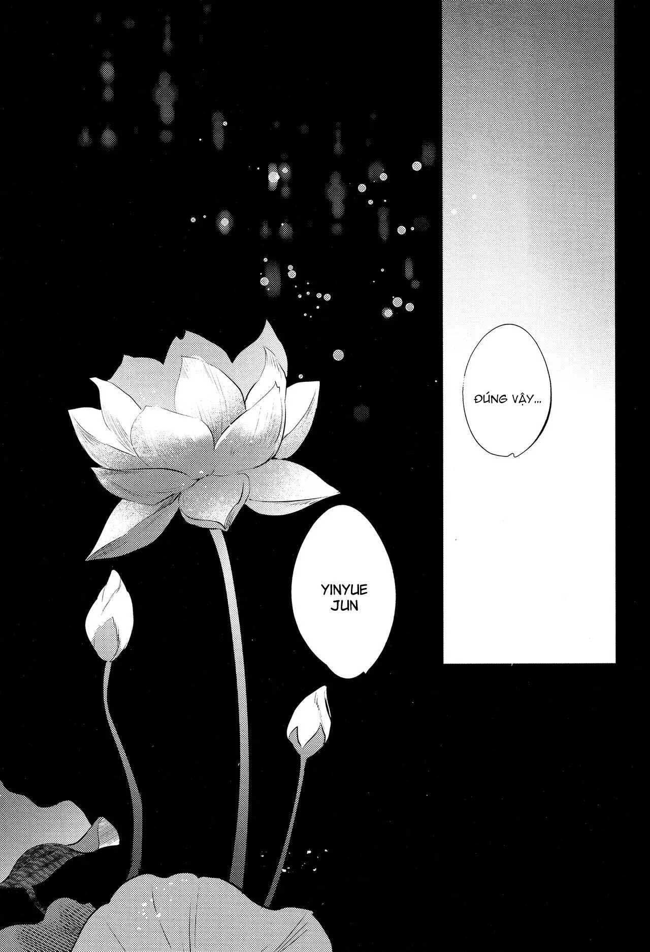 (Vicera) Honkai Star Rail Chapter 39 - Trang 3