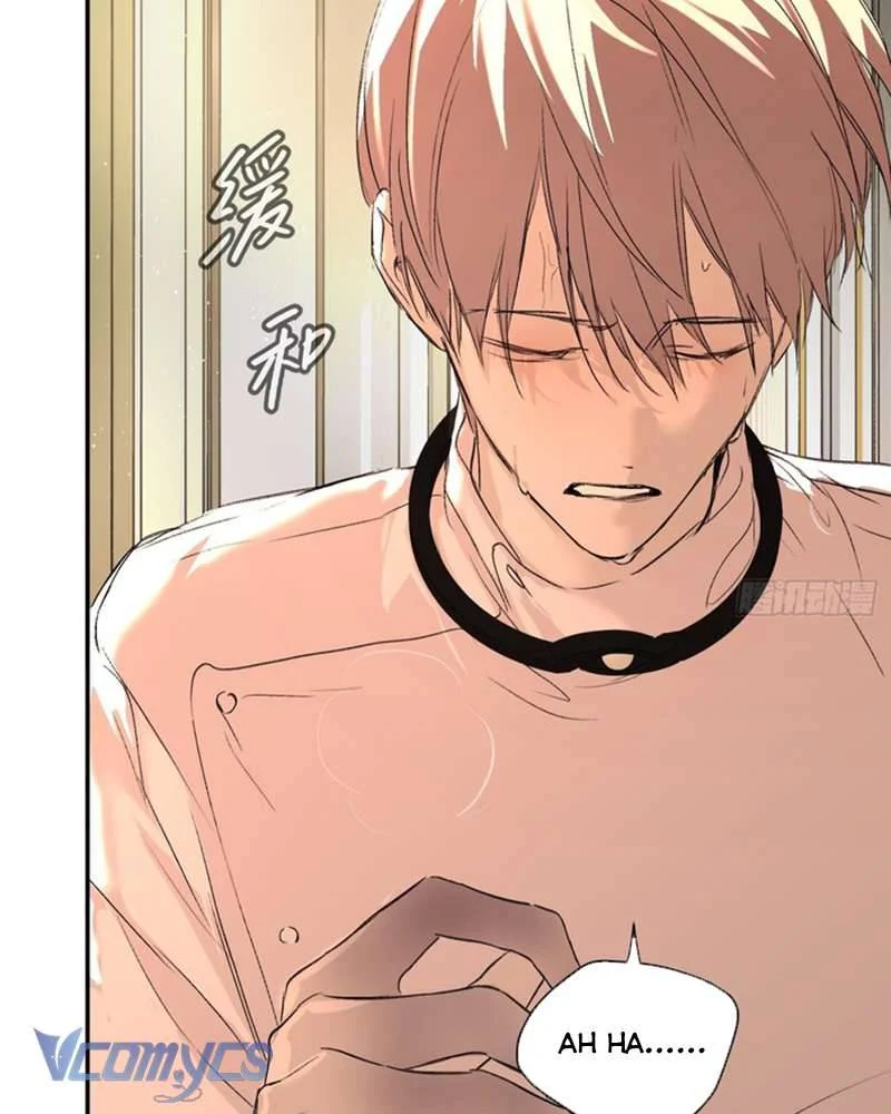 Ác Chi Hoàn Chapter 53 - Trang 2