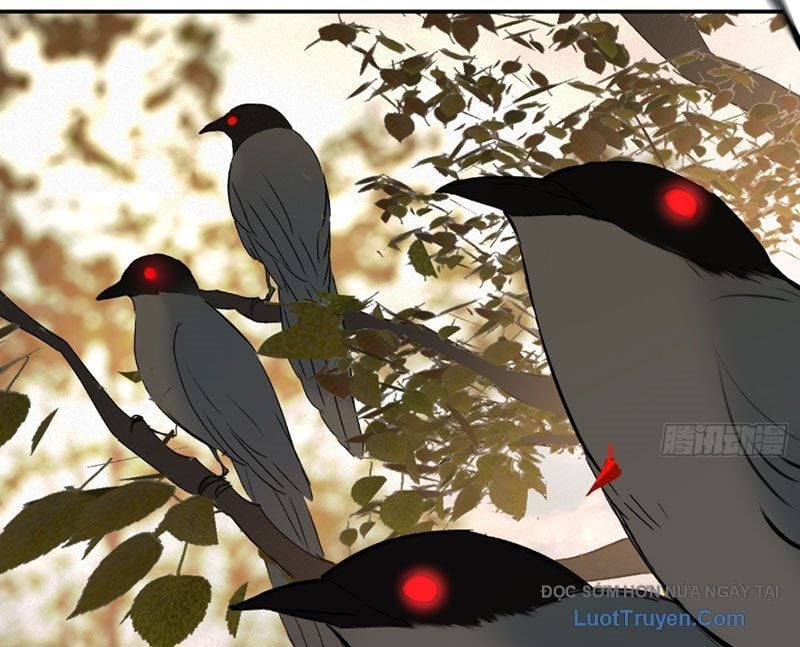 Ác Chi Hoàn Chapter 70 88