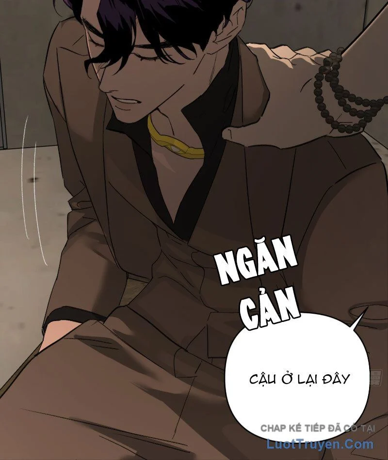 Ác Chi Hoàn Chapter 72 84