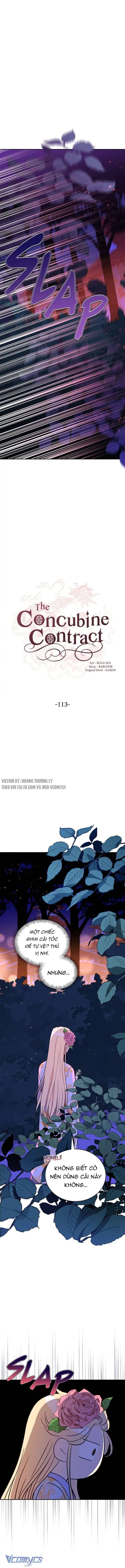 Ái Phi Khế Ước Chapter 113 - Trang 2