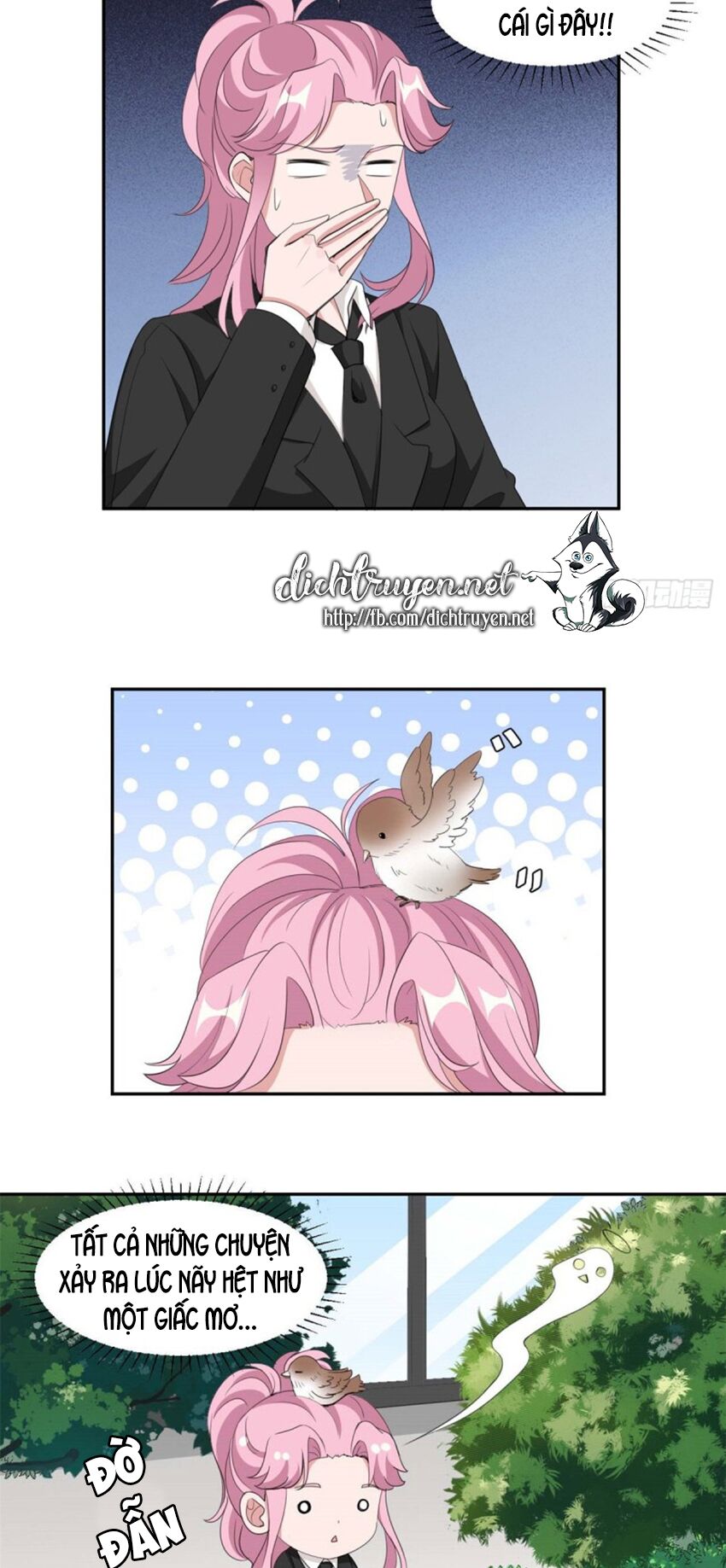 Ẩn Hôn Chí Ái Chapter 73 - Next Chapter 74