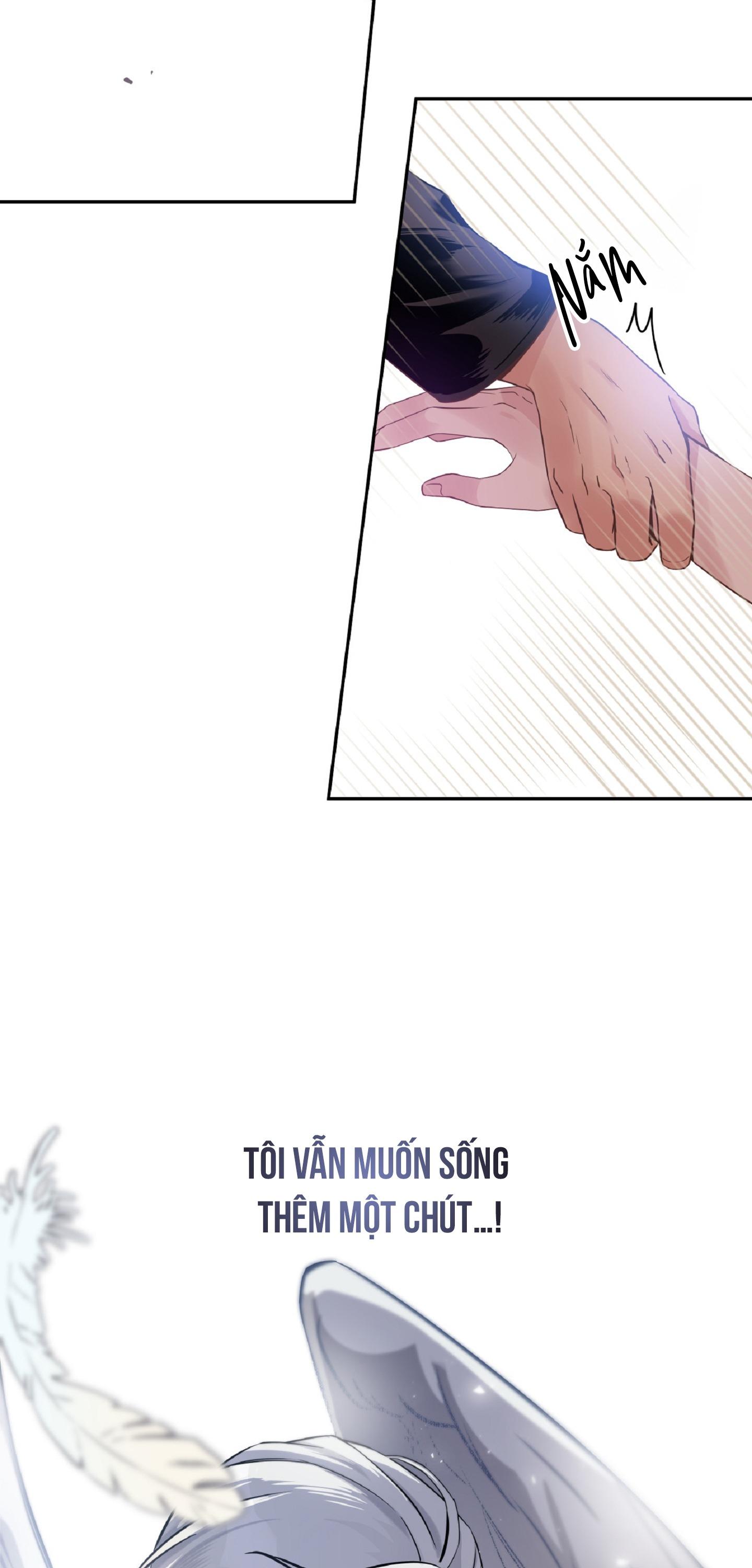 Angel kiss Chapter 1 75