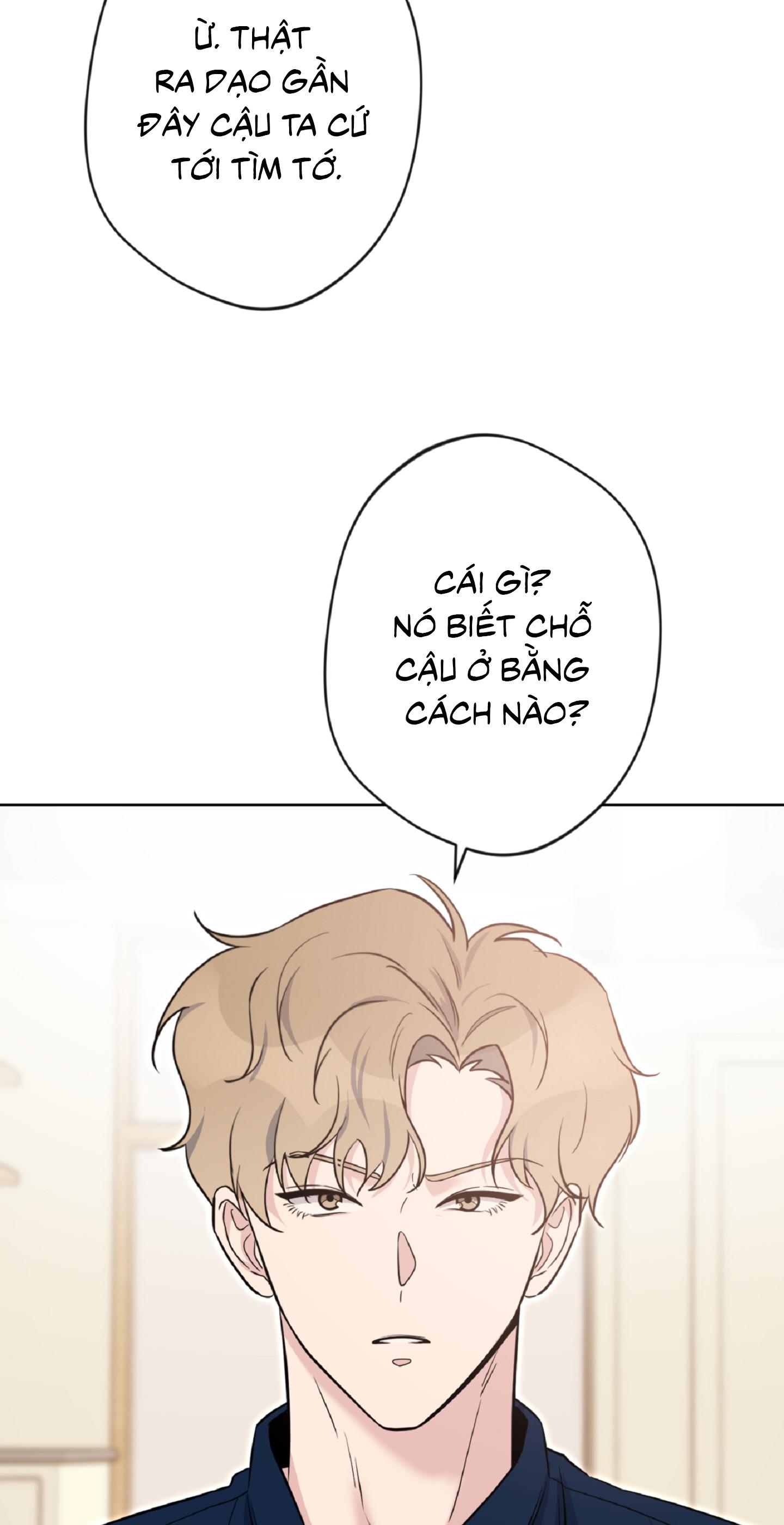 Angel kiss Chapter 19 - Trang 4