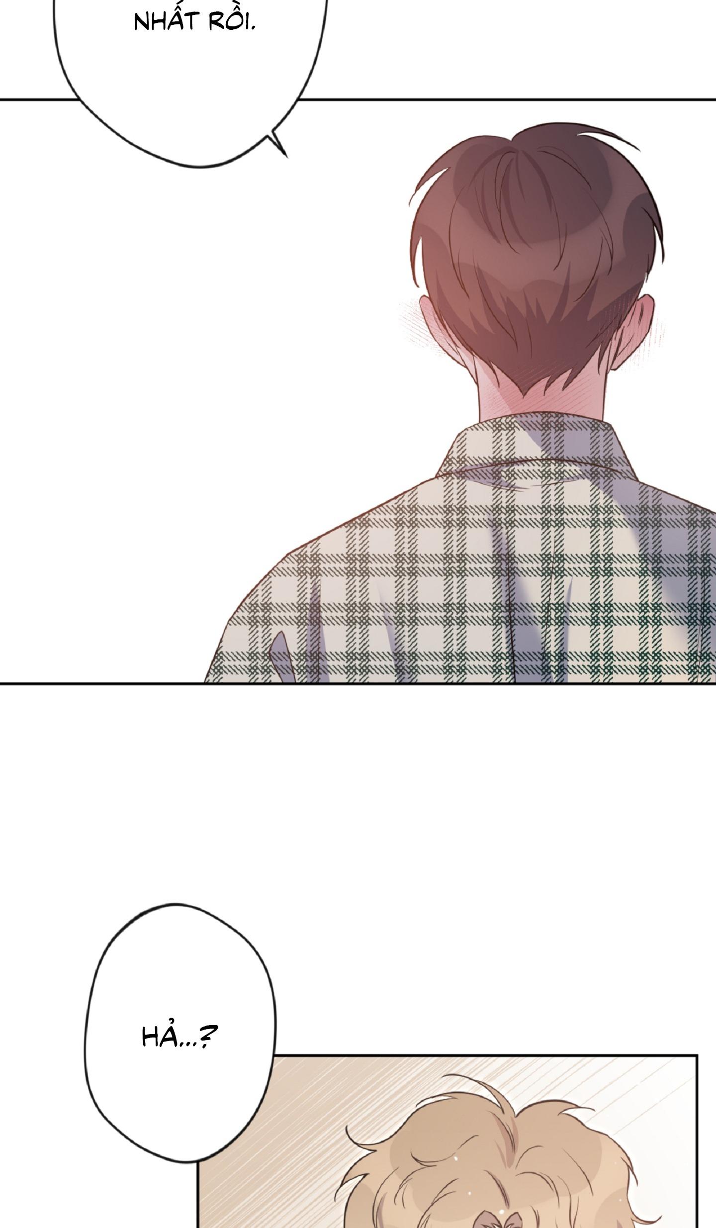 Angel kiss Chapter 19 - Trang 4