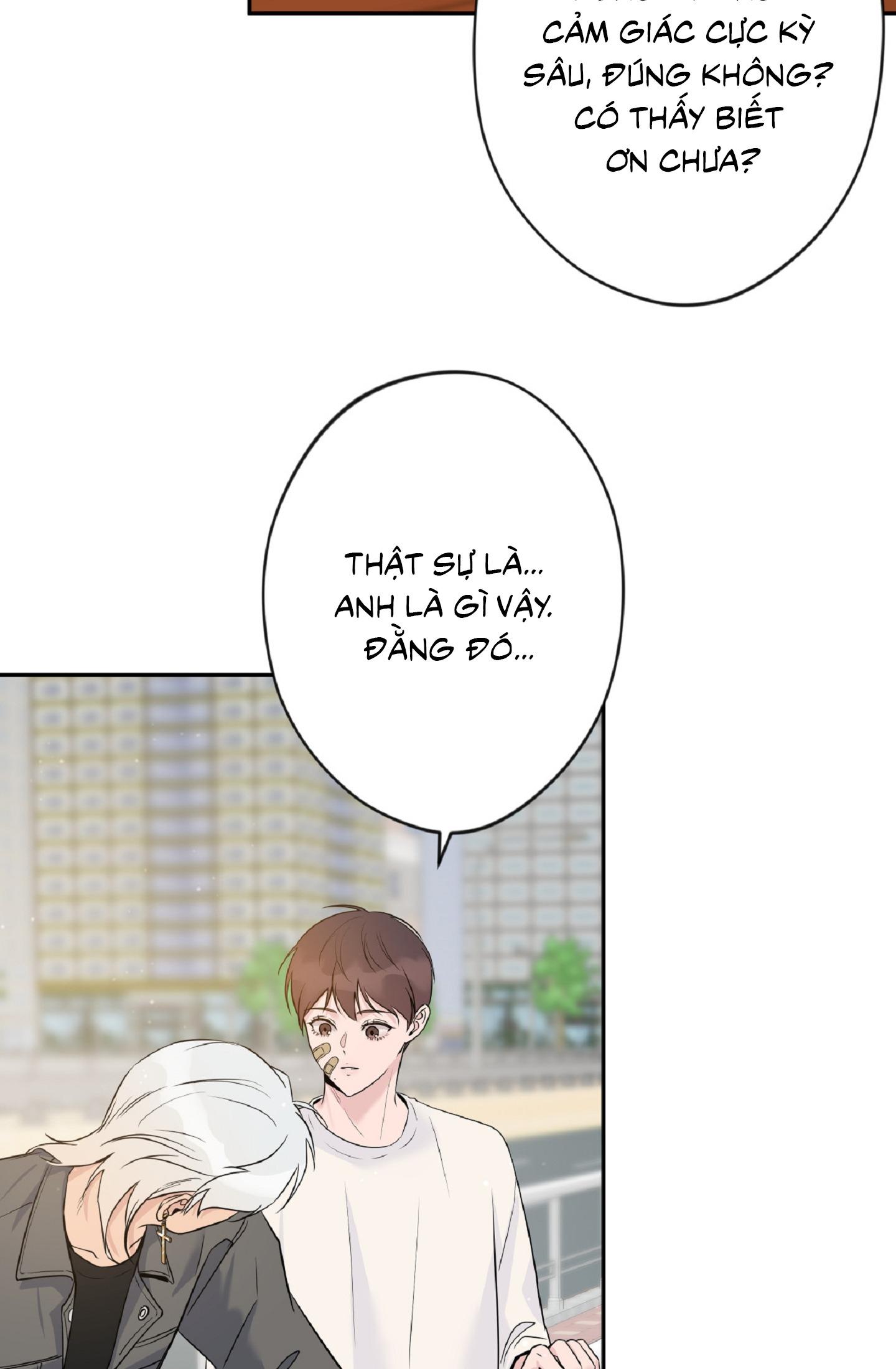 Angel kiss Chapter 3 - Trang 4