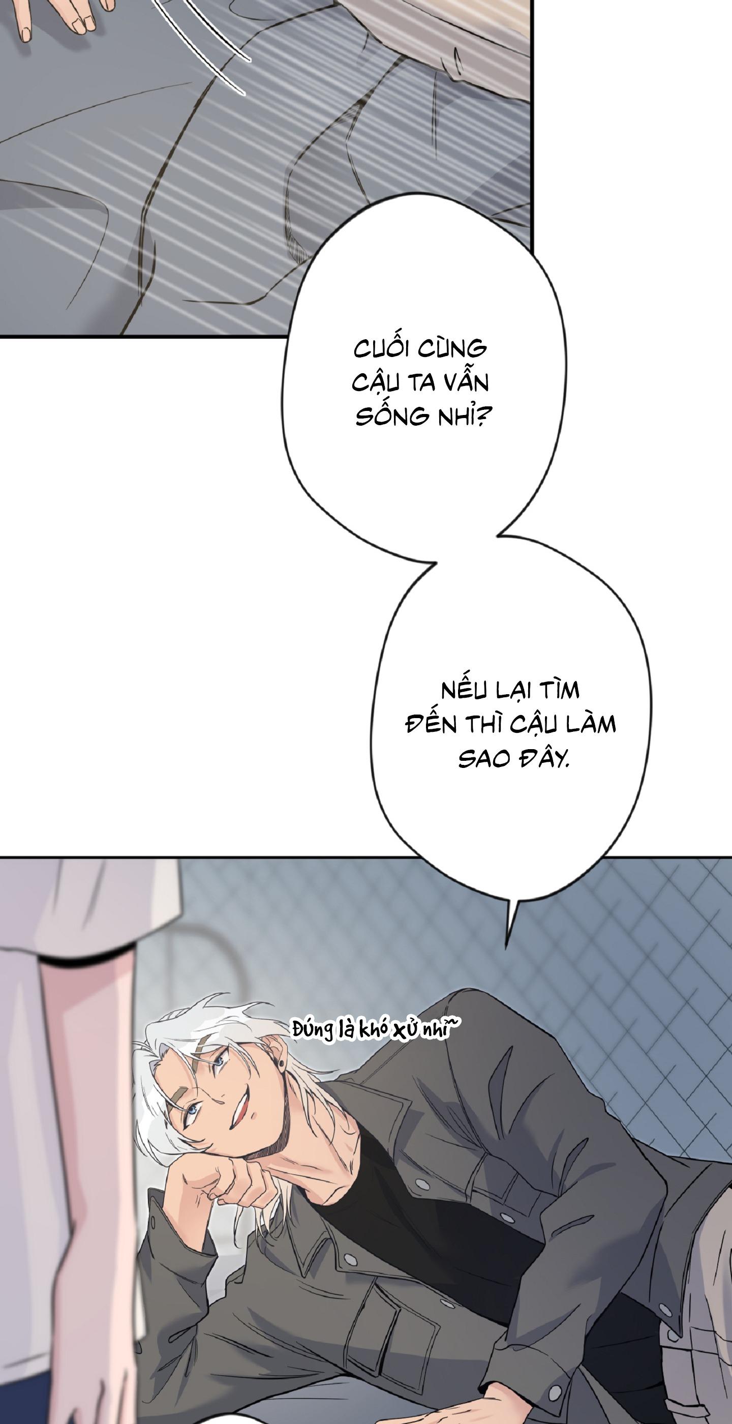 Angel kiss Chapter 4 - Trang 4