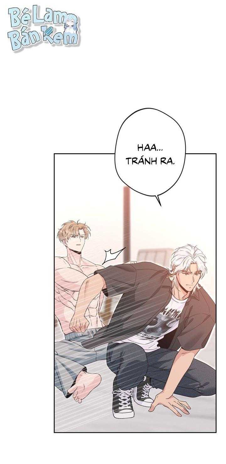 Angel kiss Chapter 40 - Trang 3