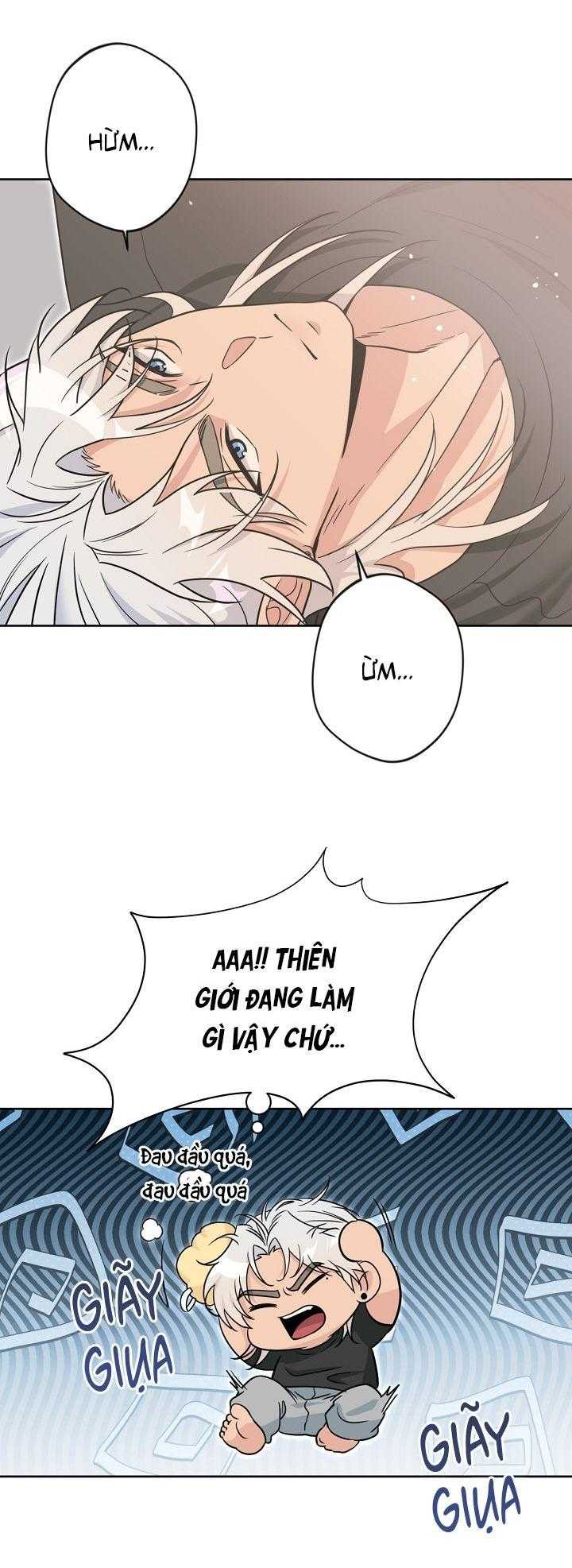 Angel kiss Chapter 40 - Trang 3