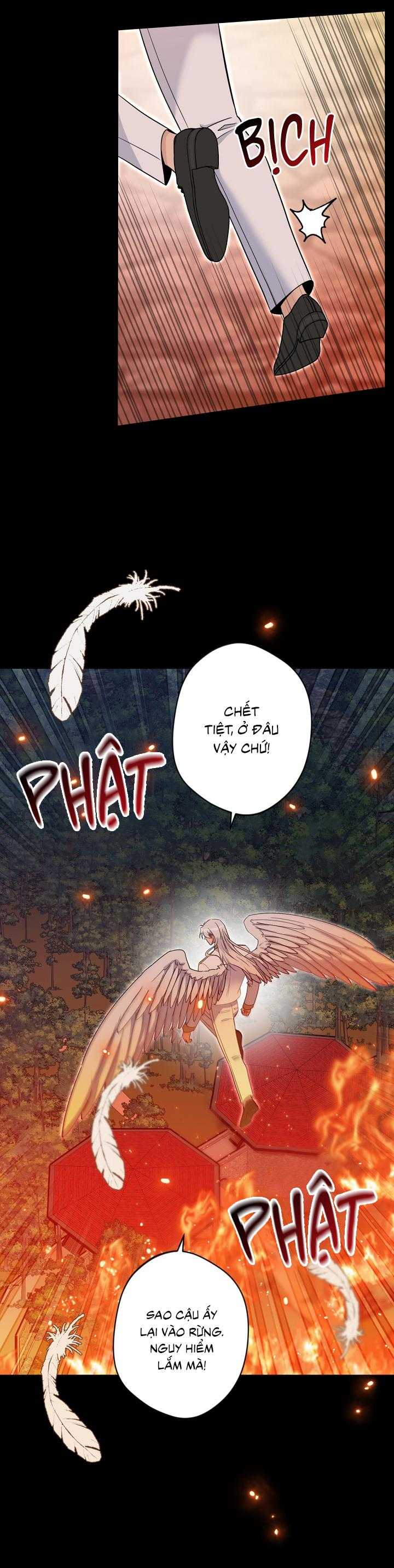 Angel kiss Chapter 42 - Trang 3