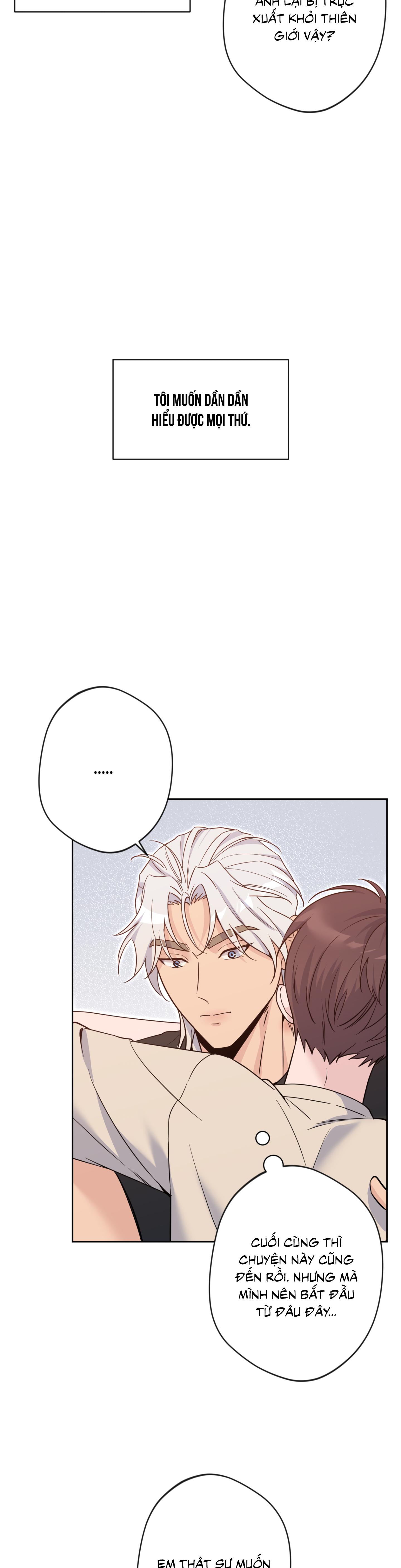 Angel kiss Chapter 49 - Next 