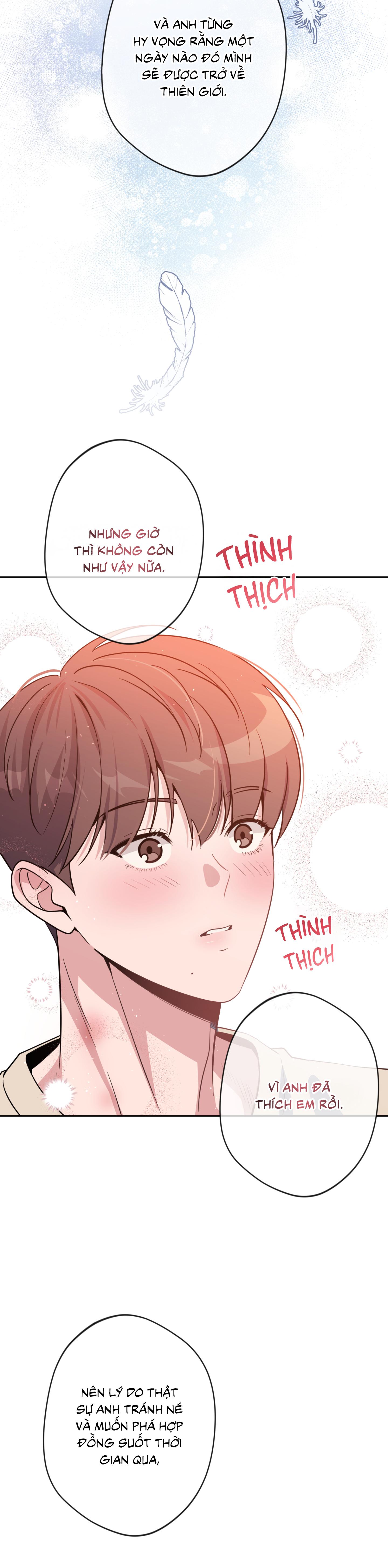 Angel kiss Chapter 49 - Next 