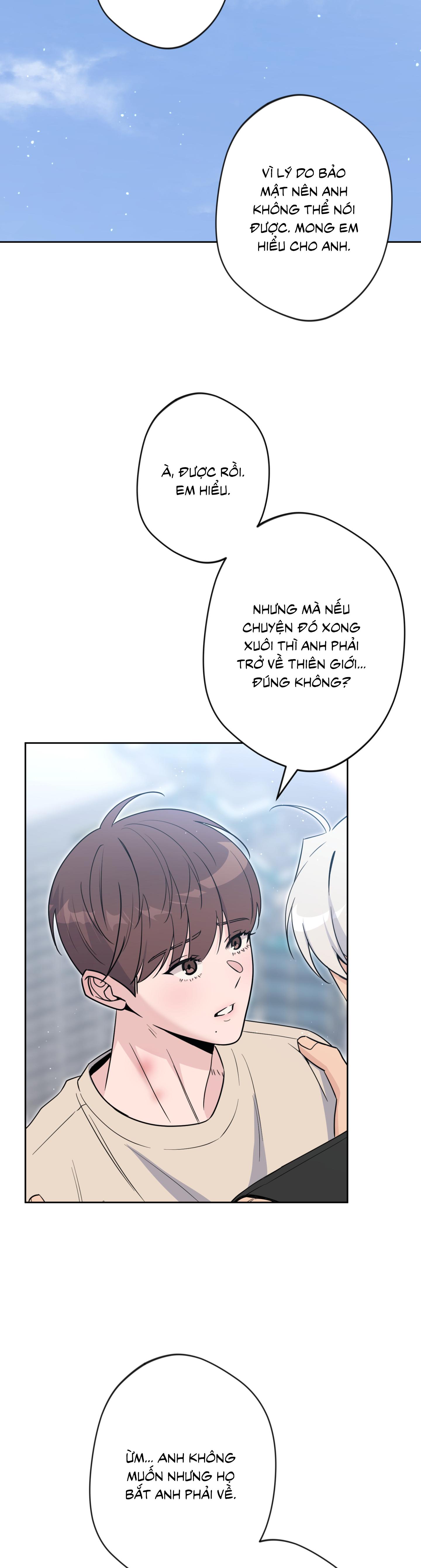 Angel kiss Chapter 49 - Next 