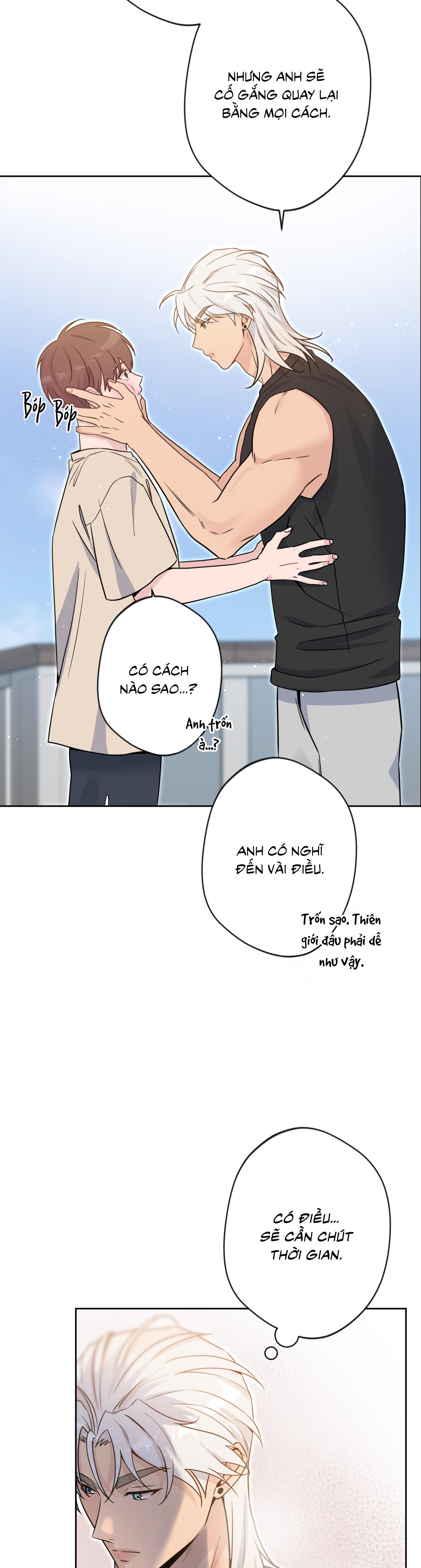 Angel kiss Chapter 49 - Next 