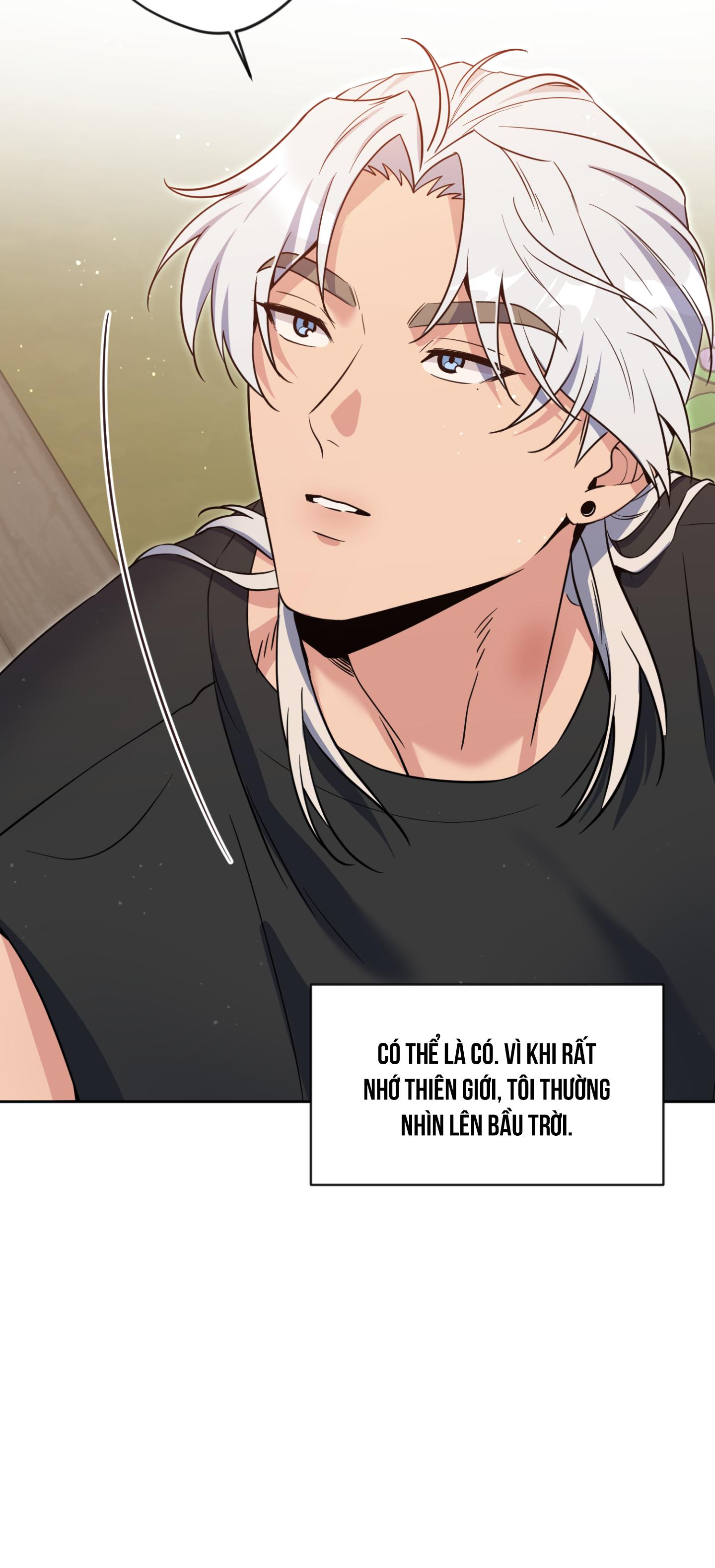 Angel kiss Chapter 49 - Next 