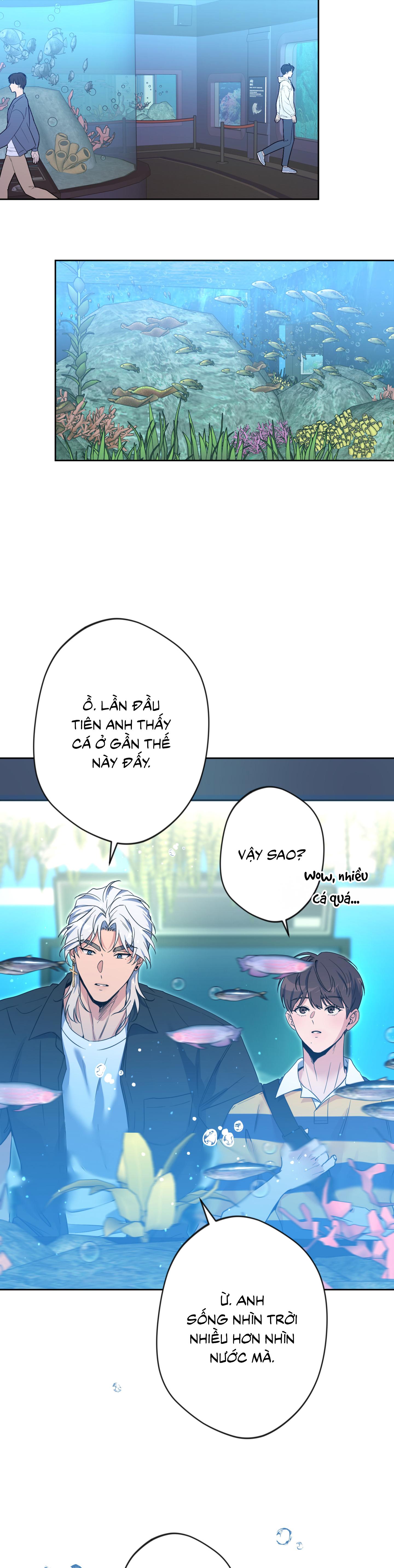 Angel kiss Chapter 50 End ss2 - Trang 3