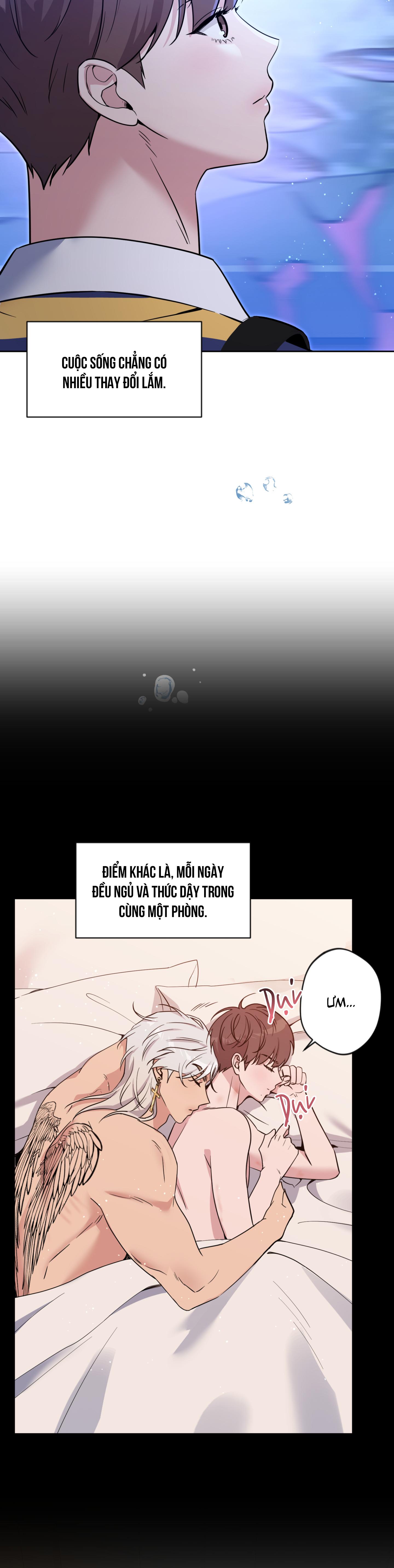 Angel kiss Chapter 50 End ss2 - Trang 3