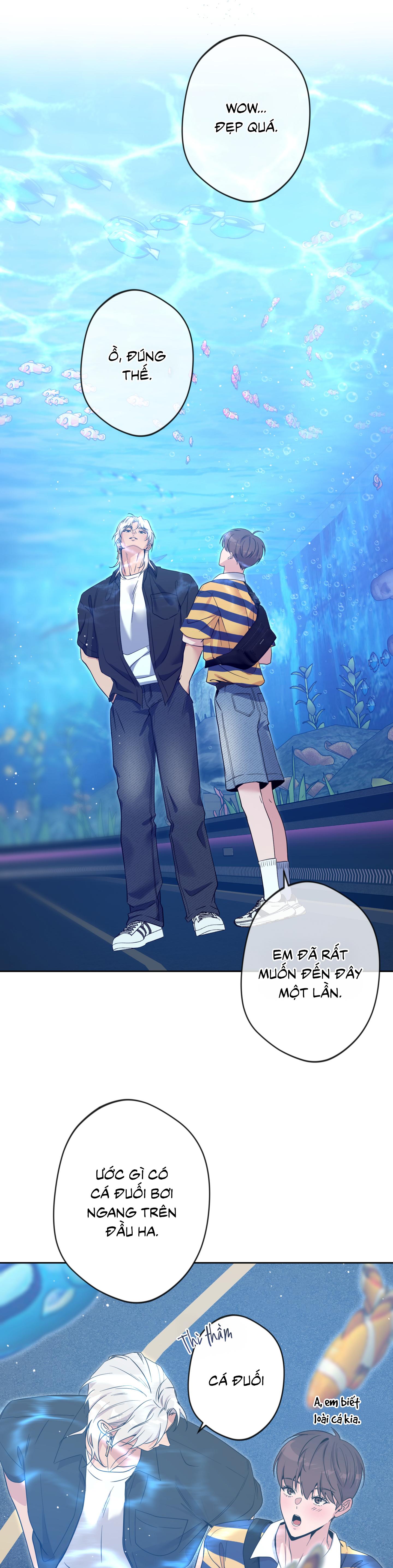 Angel kiss Chapter 50 End ss2 - Trang 3