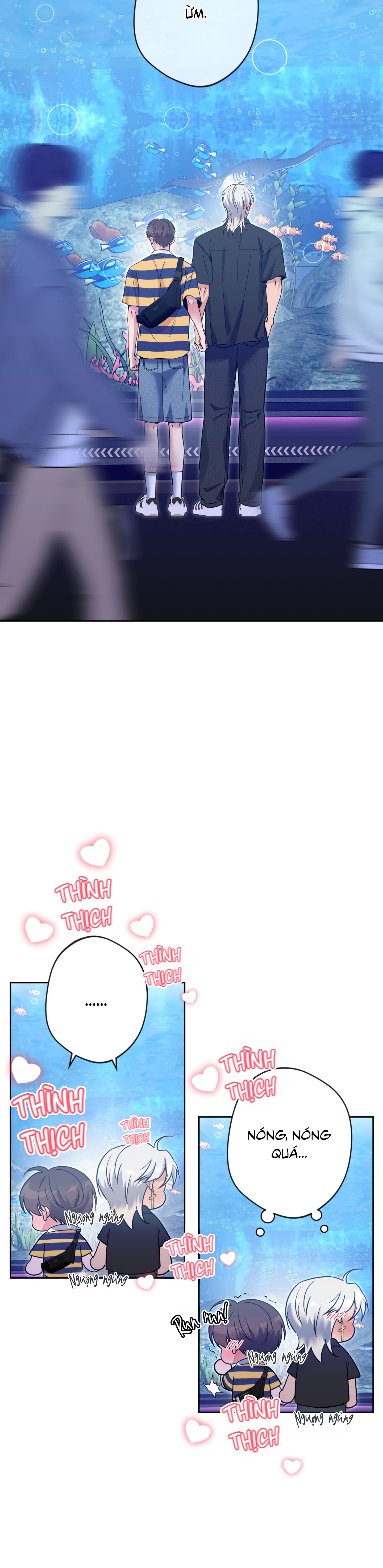 Angel kiss Chapter 50 End ss2 - Trang 3