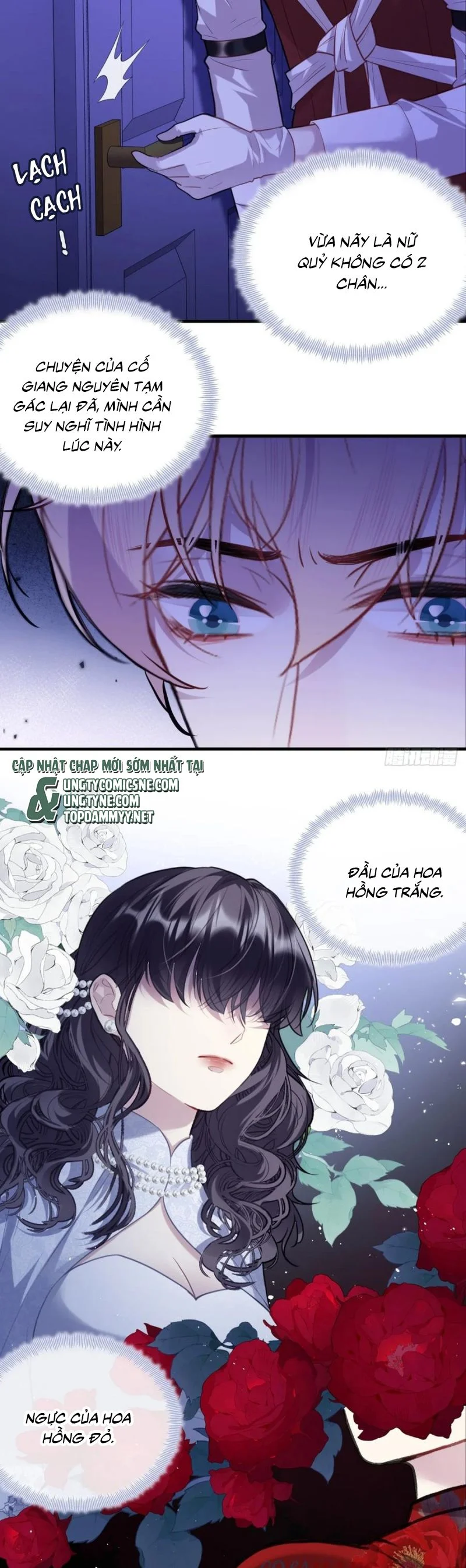 Anh Ấy Chưa Từng Rơi Xuống Chapter 122 - Trang 2