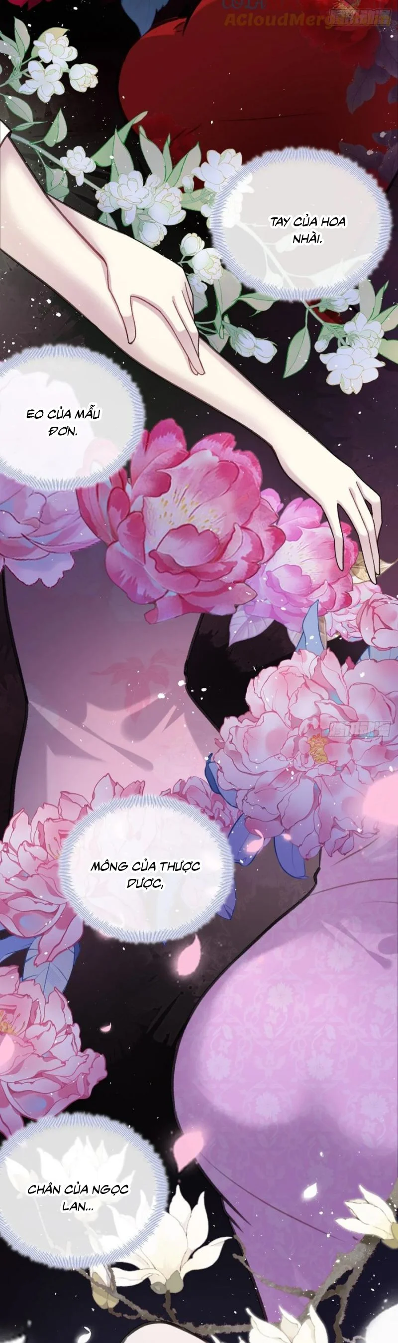 Anh Ấy Chưa Từng Rơi Xuống Chapter 122 - Trang 2