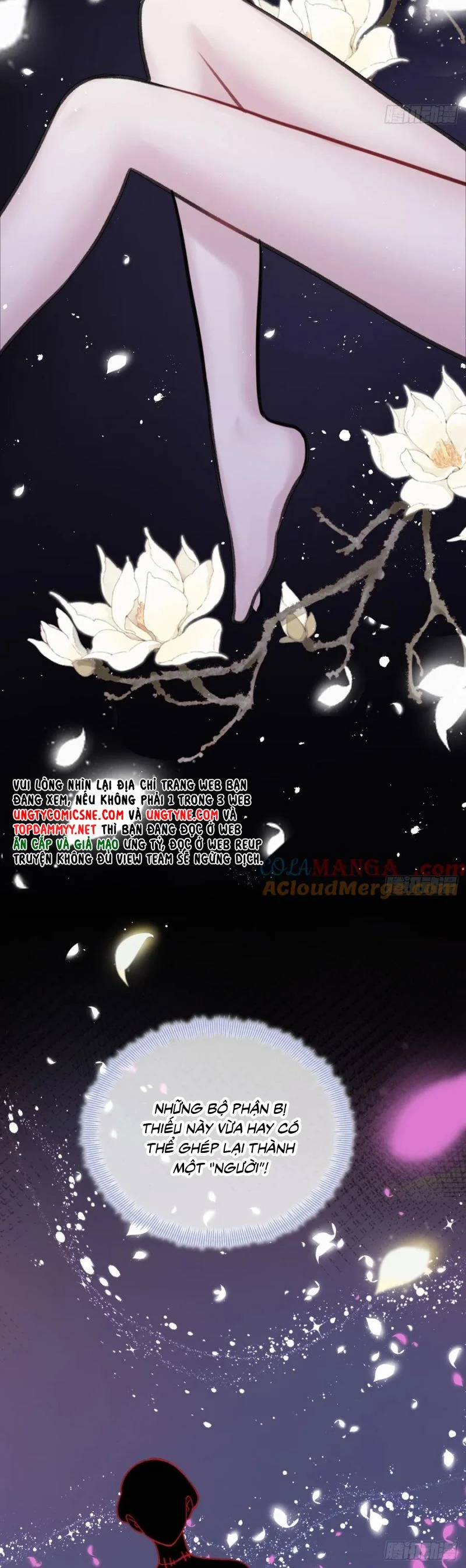 Anh Ấy Chưa Từng Rơi Xuống Chapter 122 - Trang 2