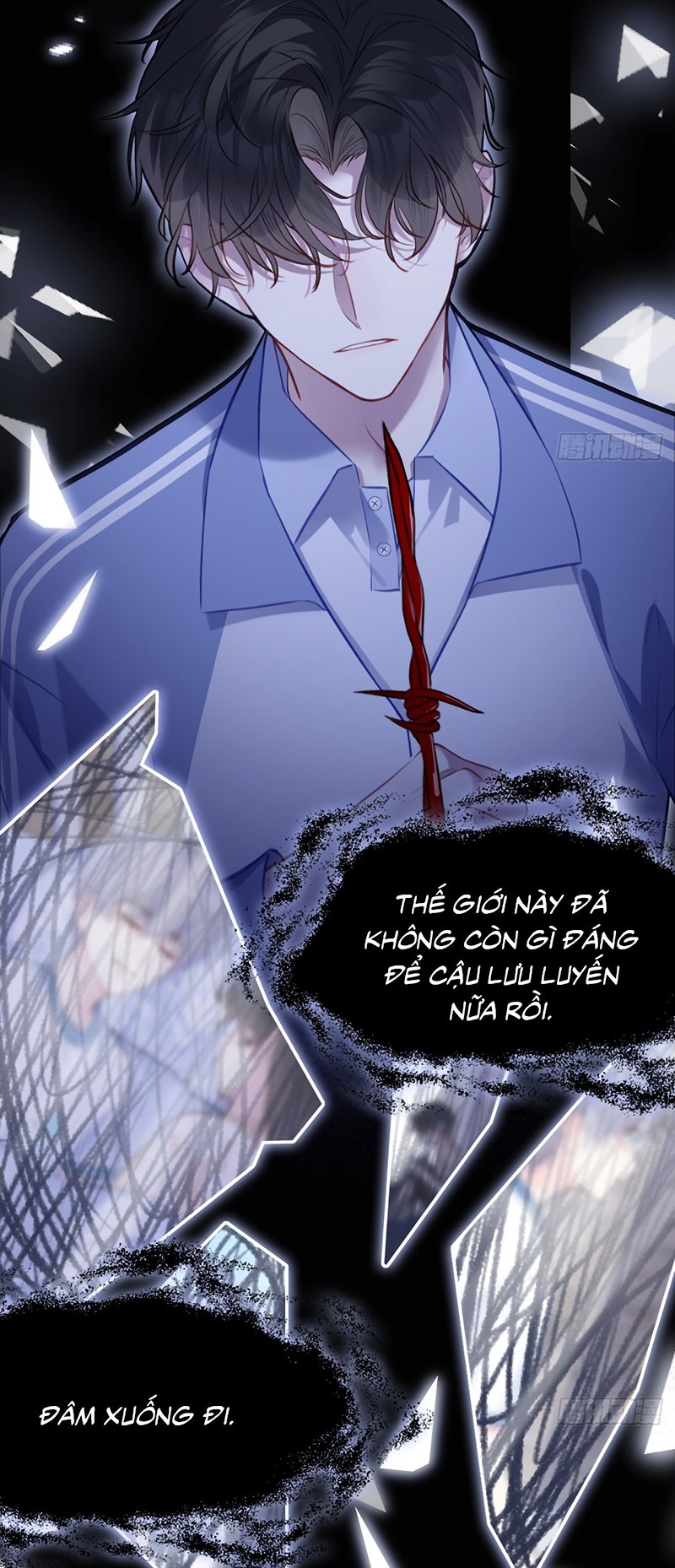 Anh Ấy Chưa Từng Rơi Xuống Chapter 143 7