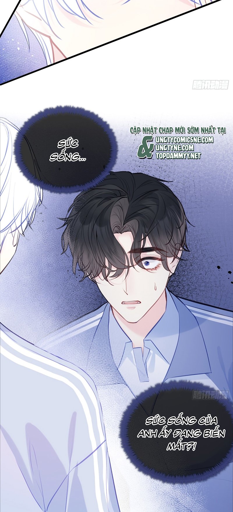 Anh Ấy Chưa Từng Rơi Xuống Chapter 143 39