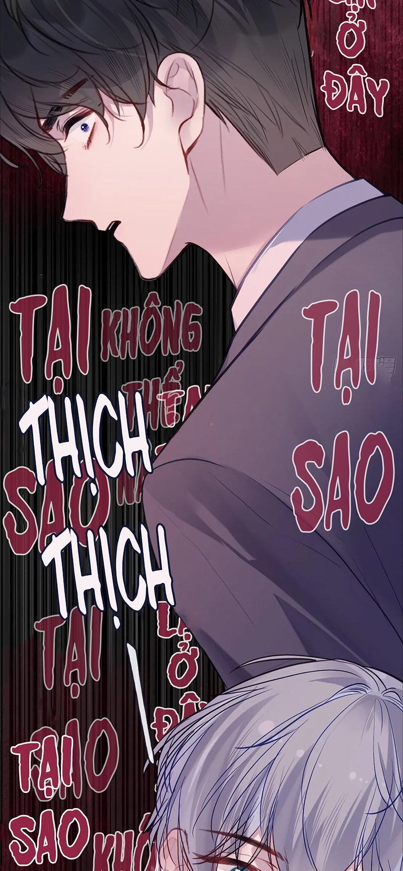 Anh Ấy Chưa Từng Rơi Xuống Chapter 145 13