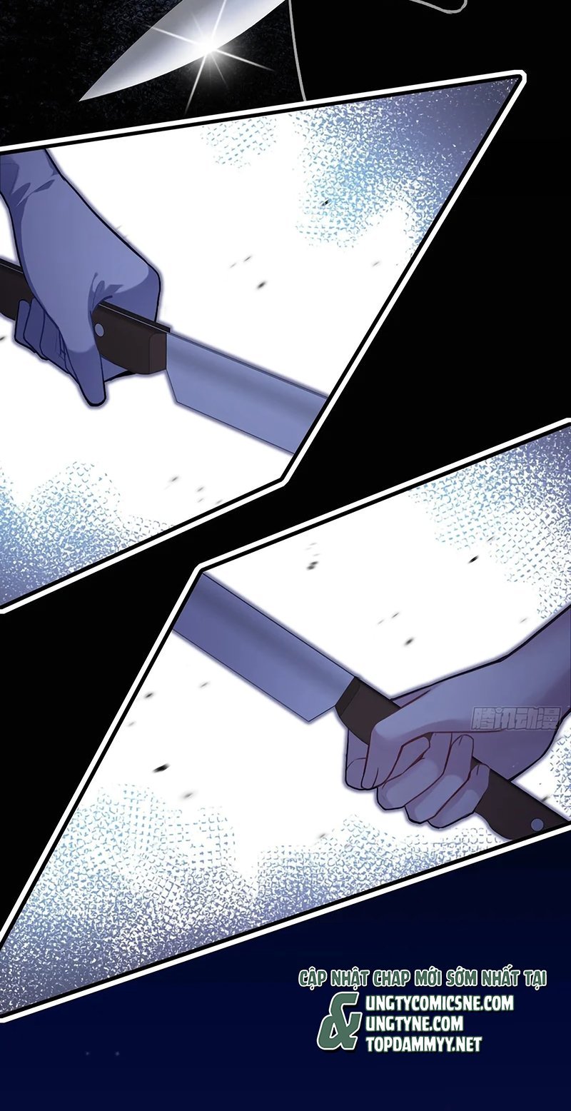 Anh Ấy Chưa Từng Rơi Xuống Chapter 146 11