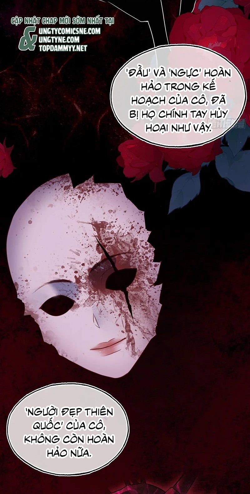 Anh Ấy Chưa Từng Rơi Xuống Chapter 146 16