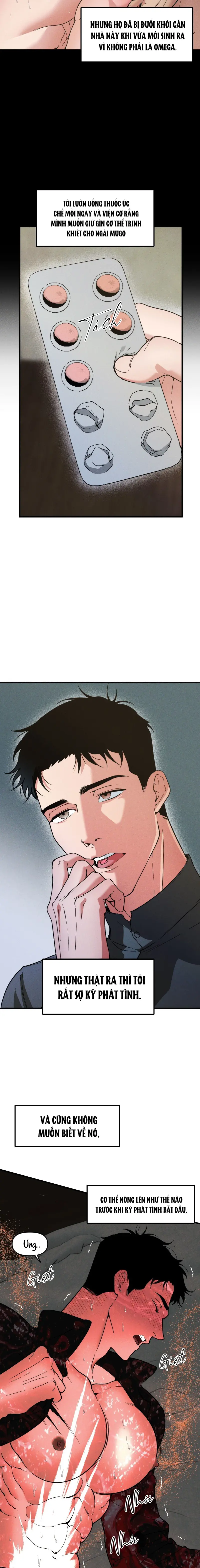 ANH CHỒNG TẾ PHẨM Chapter 36 - Trang 3